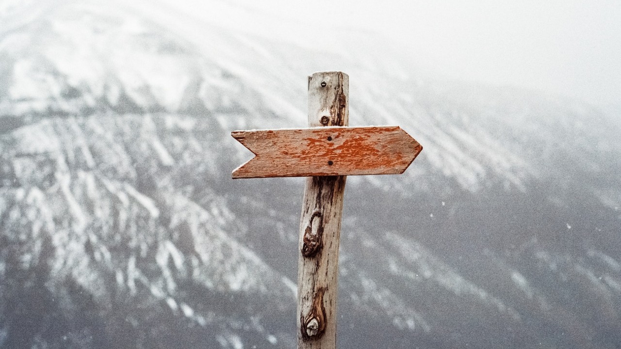 Sign Post in the wind